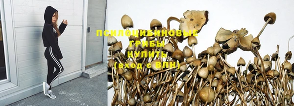 ПСИЛОЦИБИНОВЫЕ ГРИБЫ Армянск