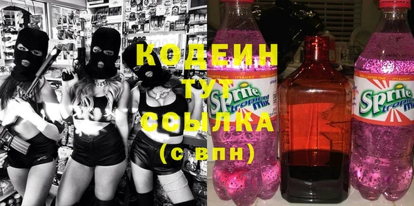 твердый Арсеньев